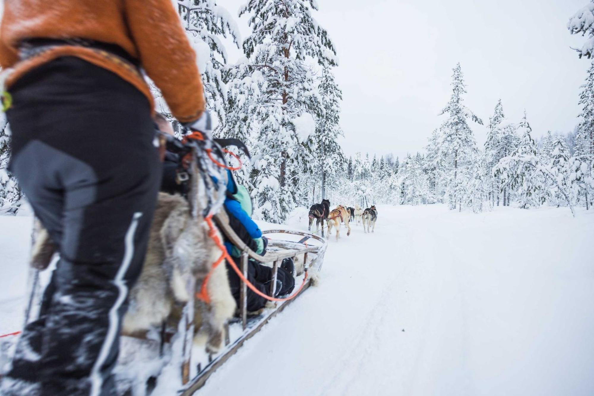 Готель Reindeer Manor Леві Екстер'єр фото